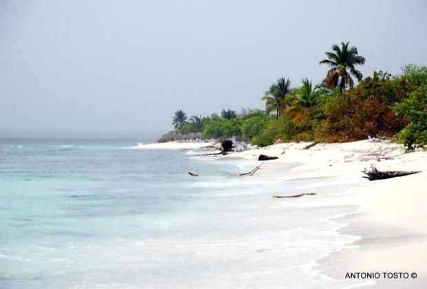Catalina Island with great palm lined beaches